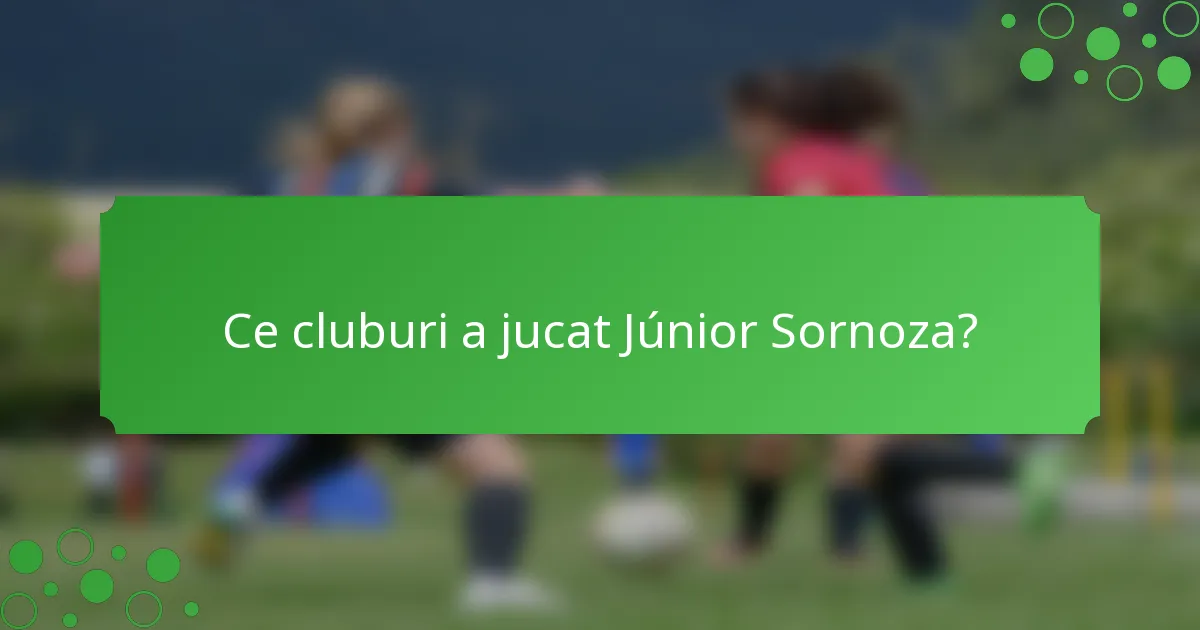 Ce cluburi a jucat Júnior Sornoza?